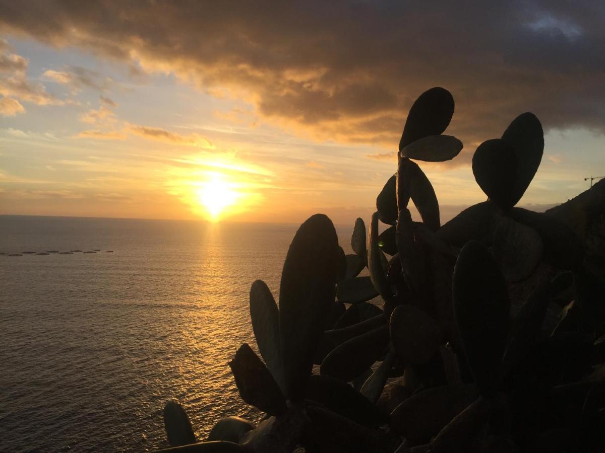 Willa Mango House Arco da Calheta  Zewnętrze zdjęcie