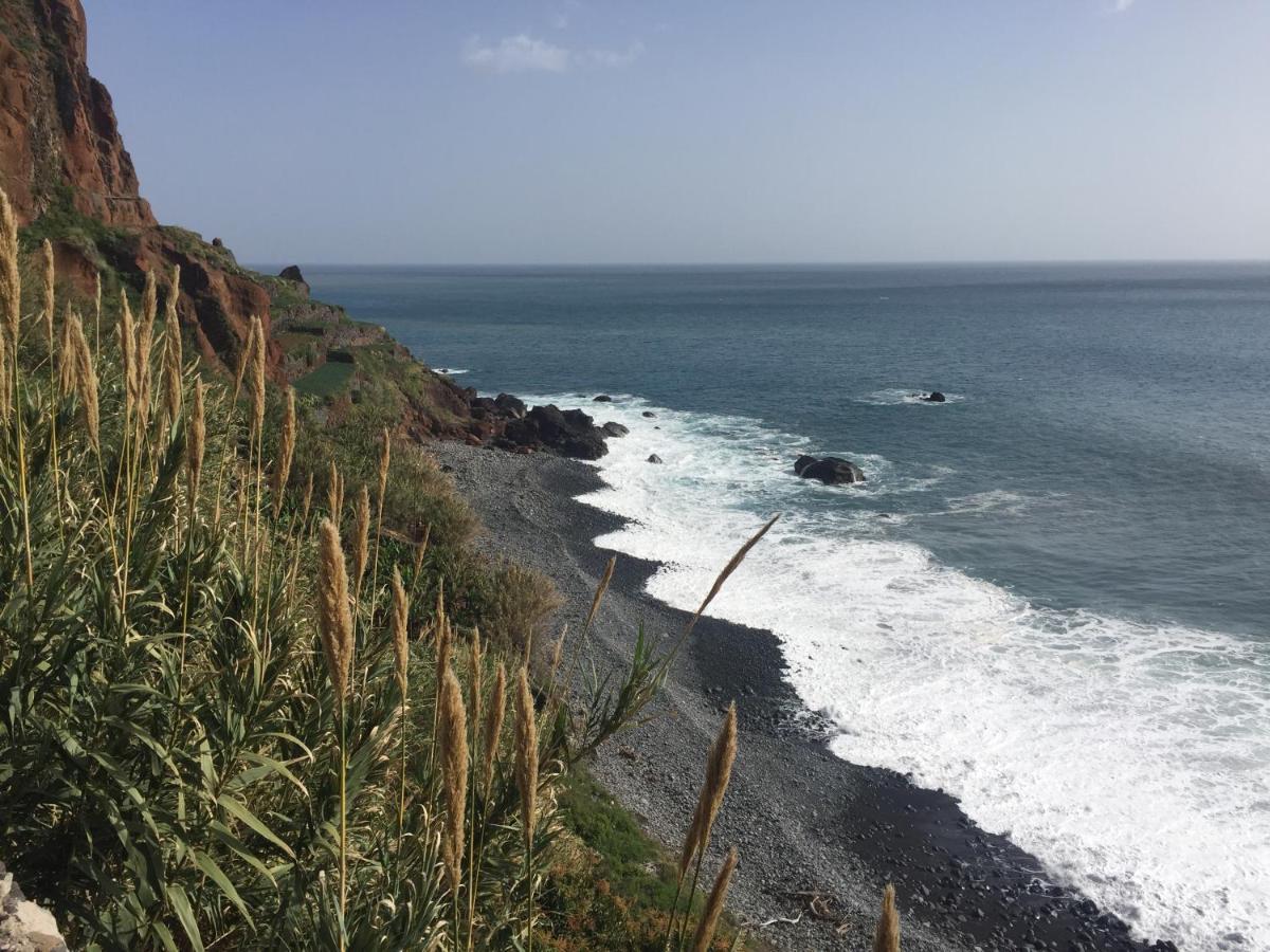 Willa Mango House Arco da Calheta  Zewnętrze zdjęcie
