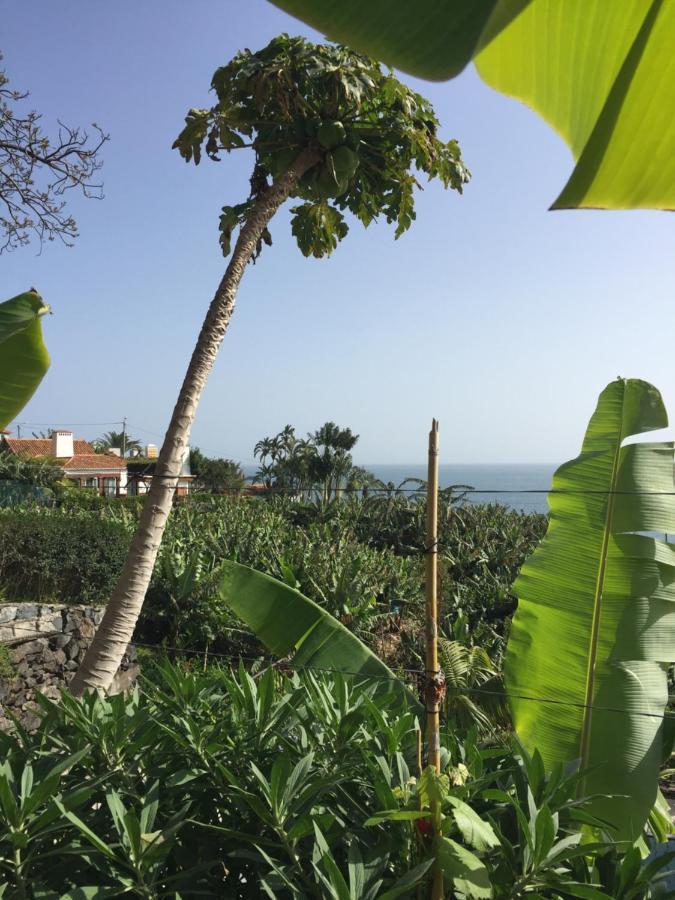 Willa Mango House Arco da Calheta  Zewnętrze zdjęcie