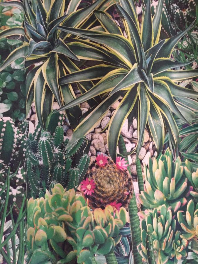 Willa Mango House Arco da Calheta  Zewnętrze zdjęcie